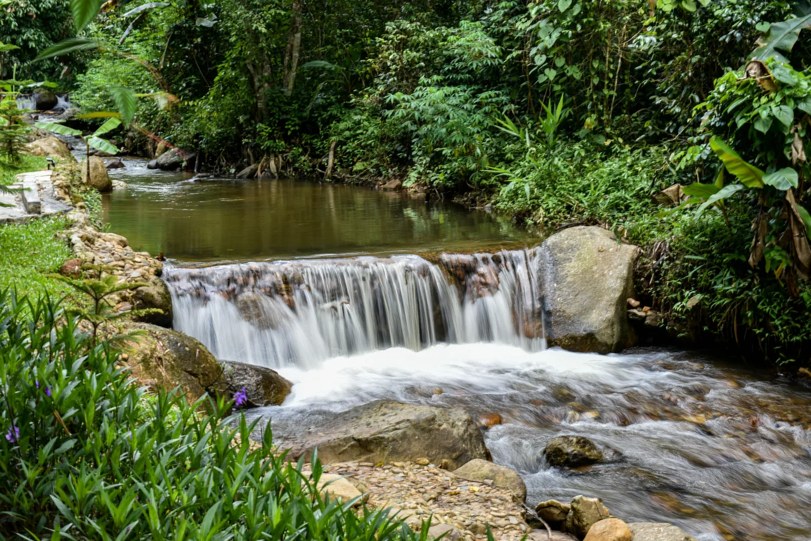 A small cascade flowing through tropical forest at Mornery